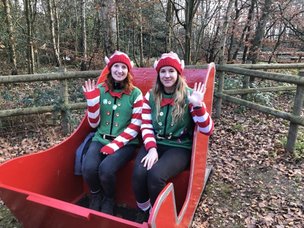 imagesGalleryElfs in sleigh.jpg